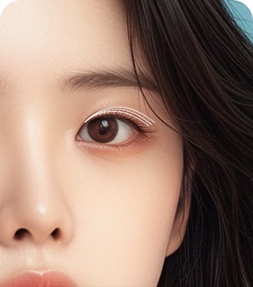 쌍꺼풀 커브 모양을 흰 선으로 표시한 눈